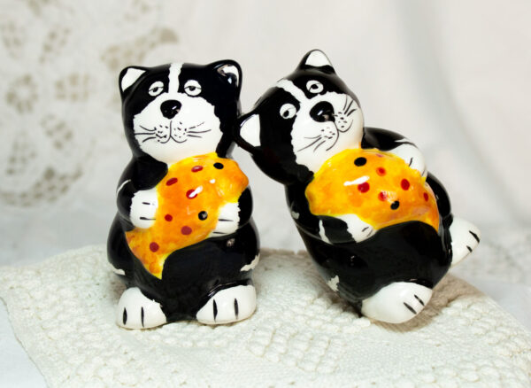 Cat Holding Fish Salt And Pepper Shakers Fun Holiday Time
