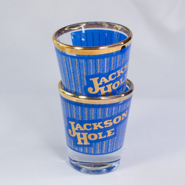 Vintage Shot Glass Souvenir Set of 2 Jackson Hole Wyoming